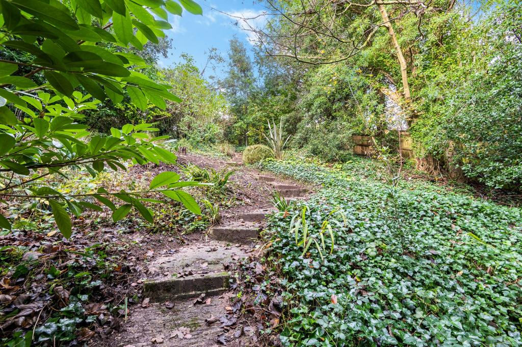Terraced Steps
