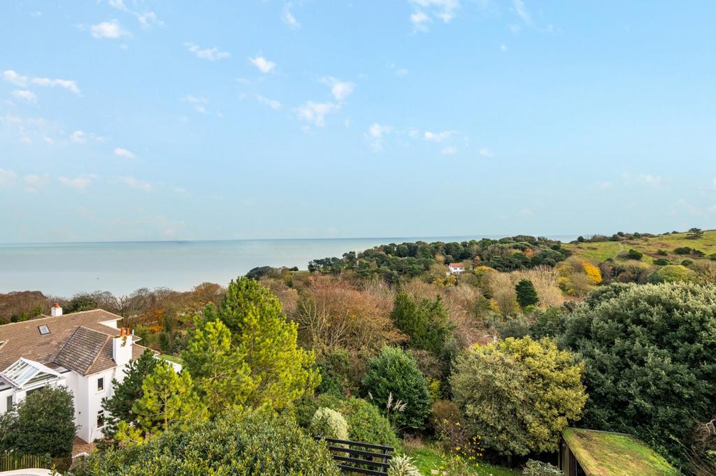 View From House