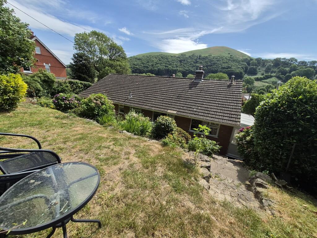 Rear garden and view