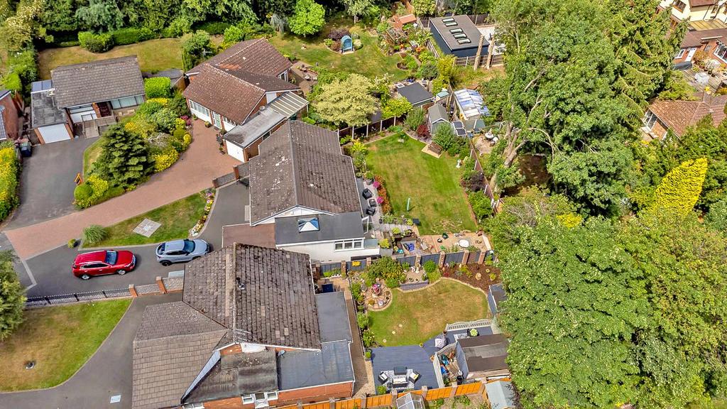 Dji 0156.jpg