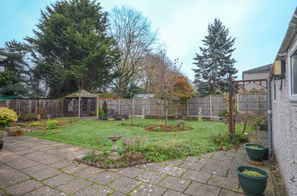 Rear garden.jpg