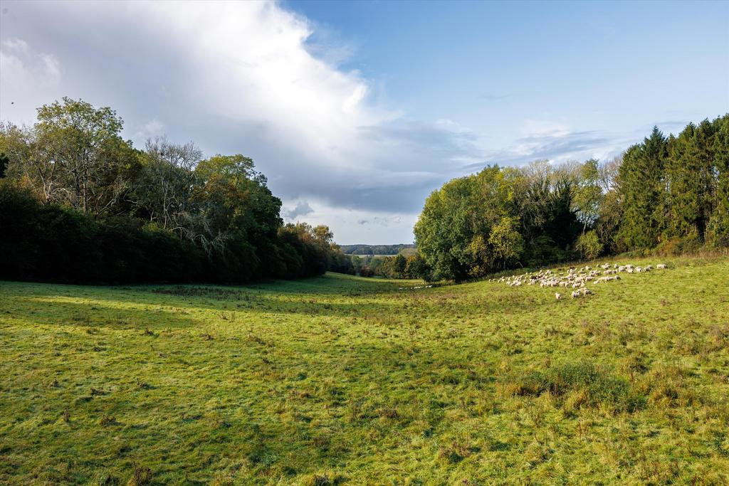 Rowland's Castle, West Sussex, PO9 Farm for sale £1,700,000