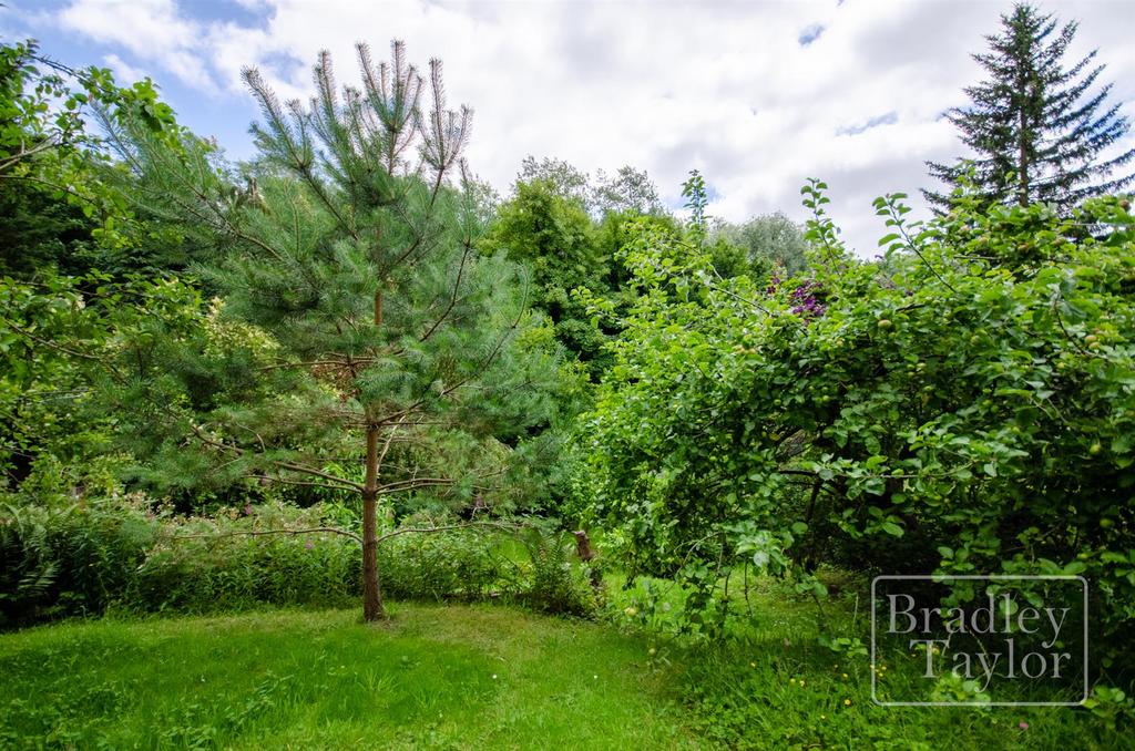 DSC3593-HDR.jpg