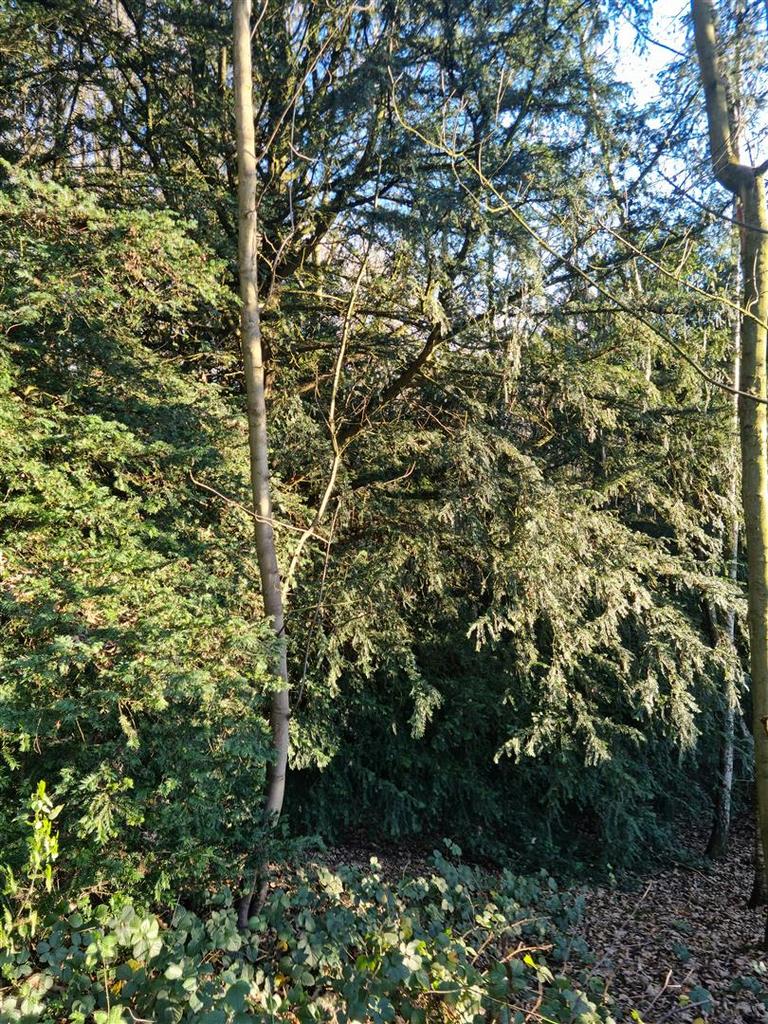 Burley Lane, Quarndon, Derby Land for sale £50,000