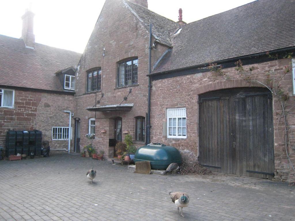IMG 0100.jpg