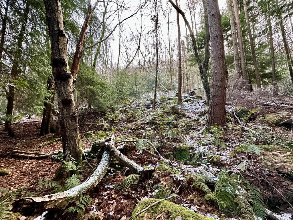 Photograph 60