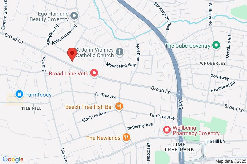 Google Maps Image