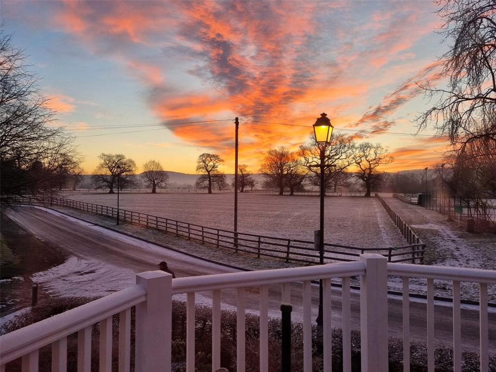 Winter View