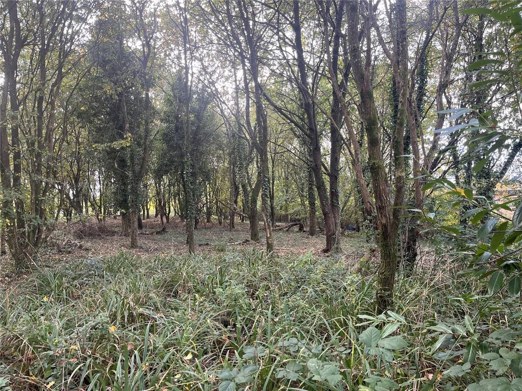Allington Lane, West End... Land £35,000