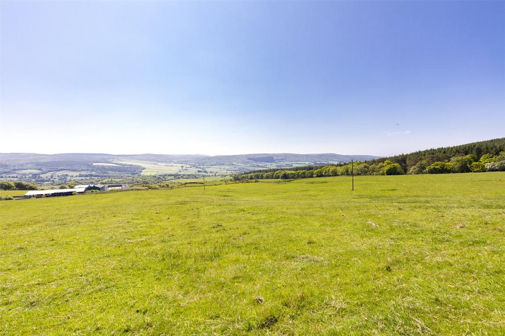 Land Lot 3
