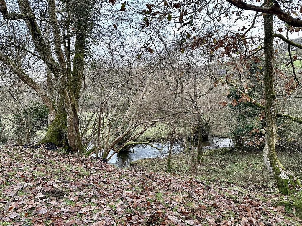 Stream