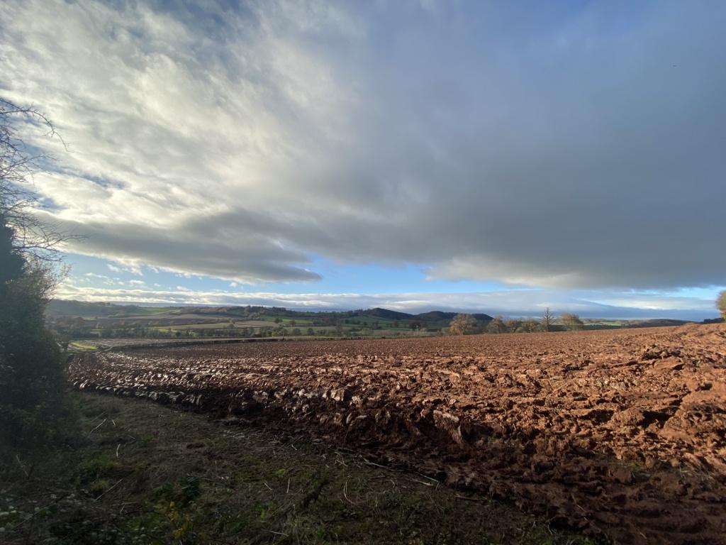 Woodlands, Herefordshire, Hereford... 4 bed property with land for sale