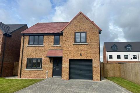 3 bedroom detached house for sale, The Fuchsia, Seaton Meadows, Seaton Carew