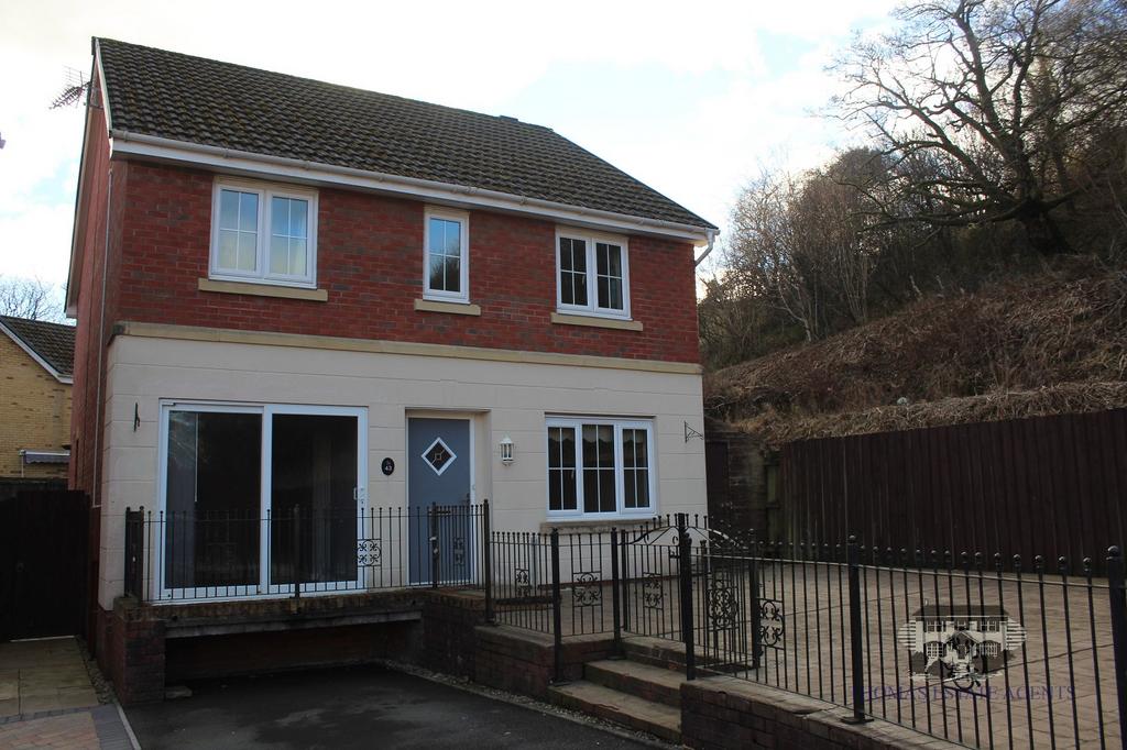 Parc Gellifaelog, Tonypandy, Rhondda... 4 bed detached house £1,250