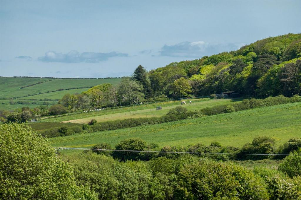 View from the Property