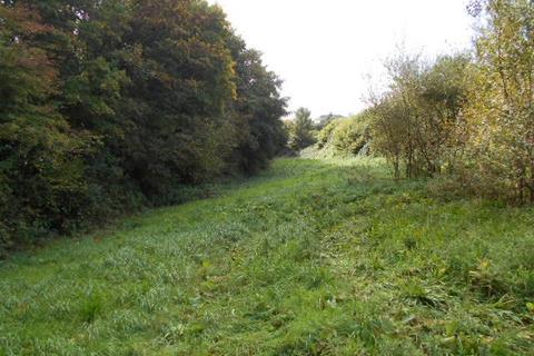 Smallholding for sale - Llangennech, Llanelli, SA4