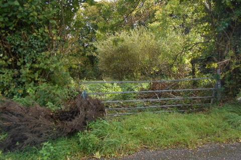 Smallholding for sale - Llangennech, Llanelli, SA4