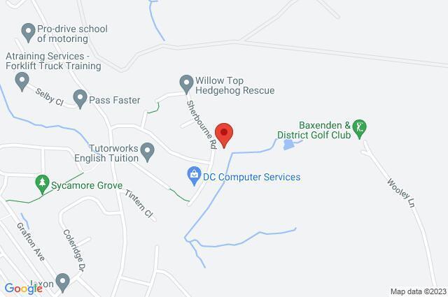 Google Maps Image