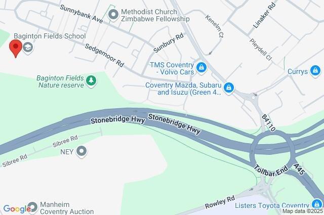 Google Maps Image