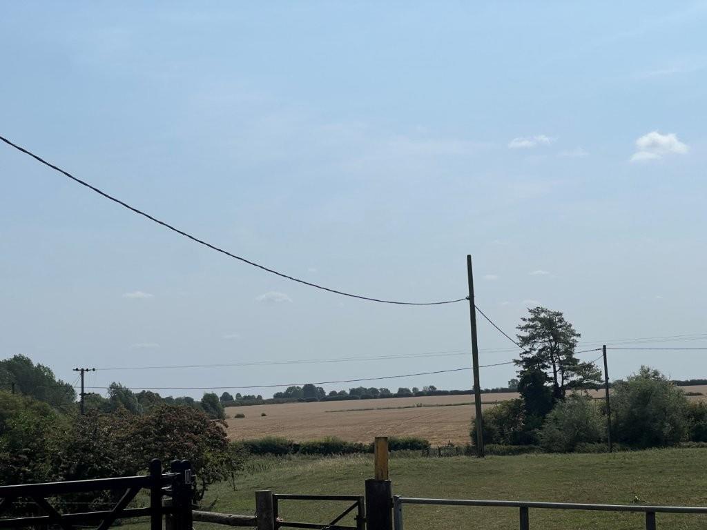 IMG 9235.jpg