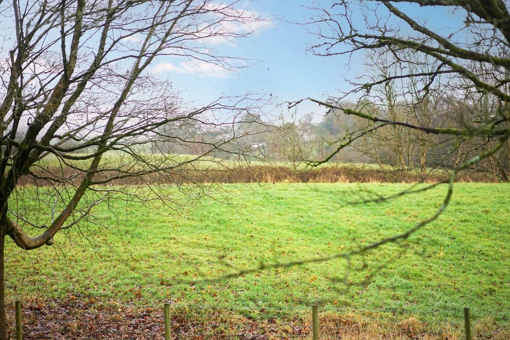 Photograph 62