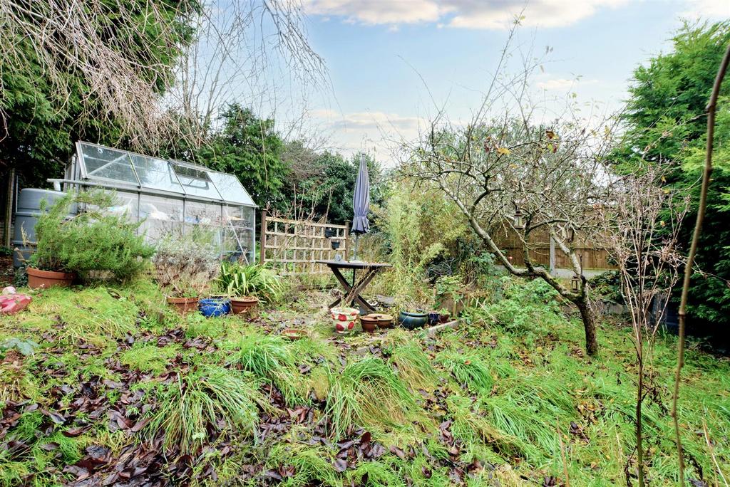 Garden 4.jpeg