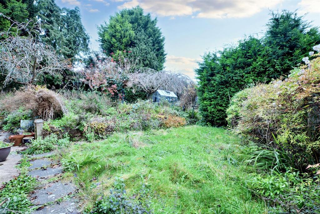 Garden 2.jpeg
