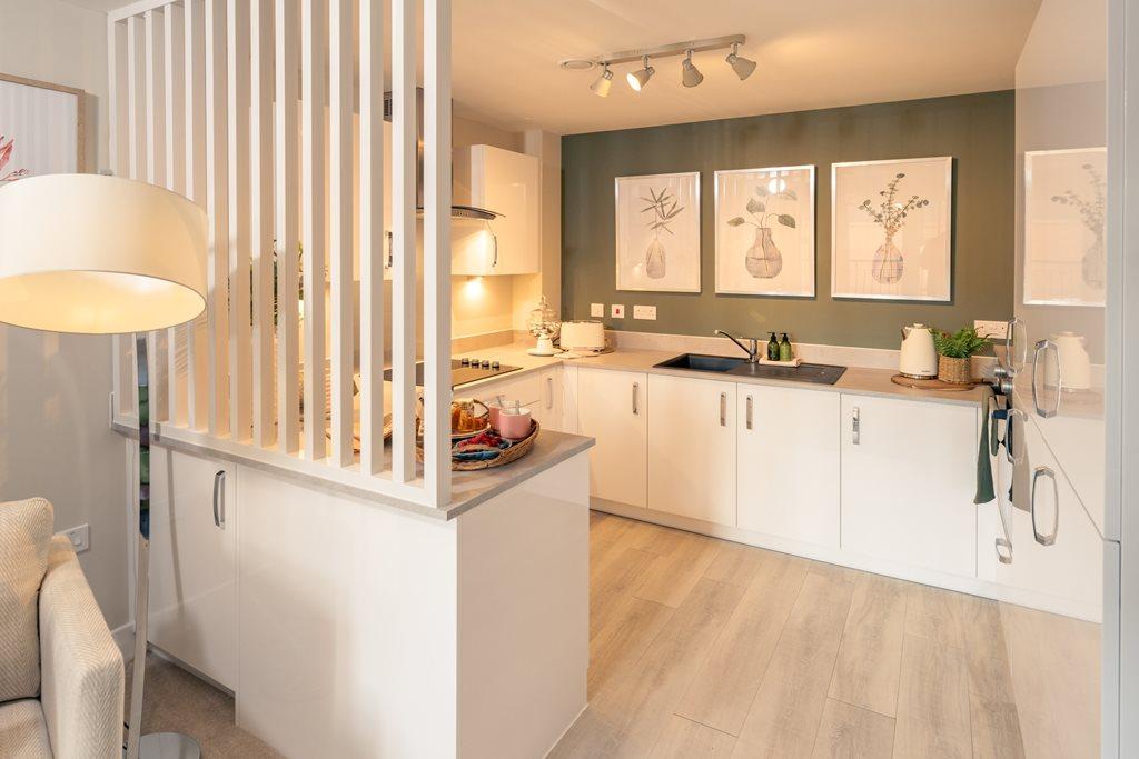 Typical Show Apartment   Kitchen