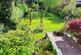 View Over Garden