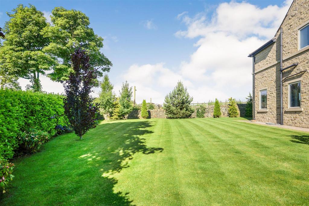 GARDEN 1.jpg