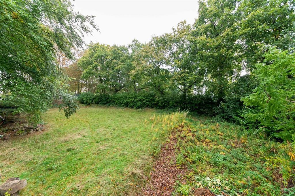 Former tennis court