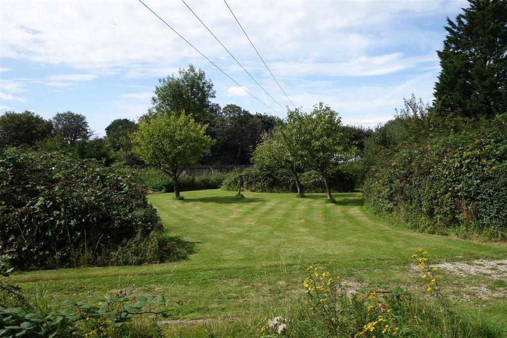 Lawn Area