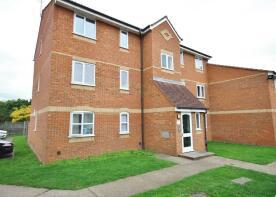 1 bed flat to rent