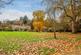 Additional image 12 of Albury Park, Albury, Guildford, Surrey, GU5