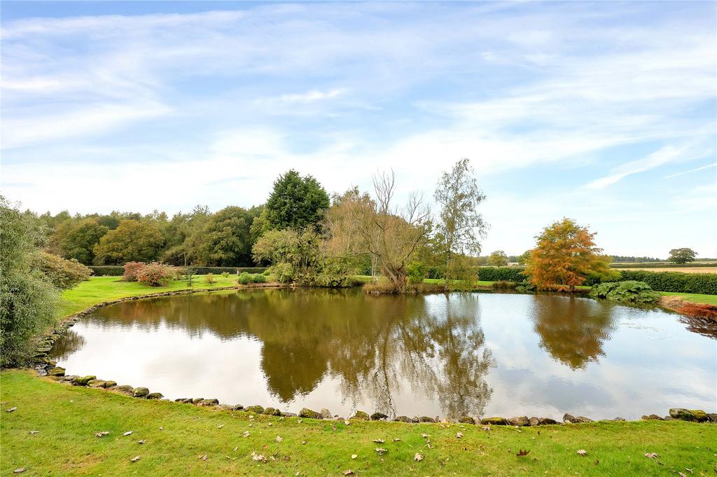 Pond