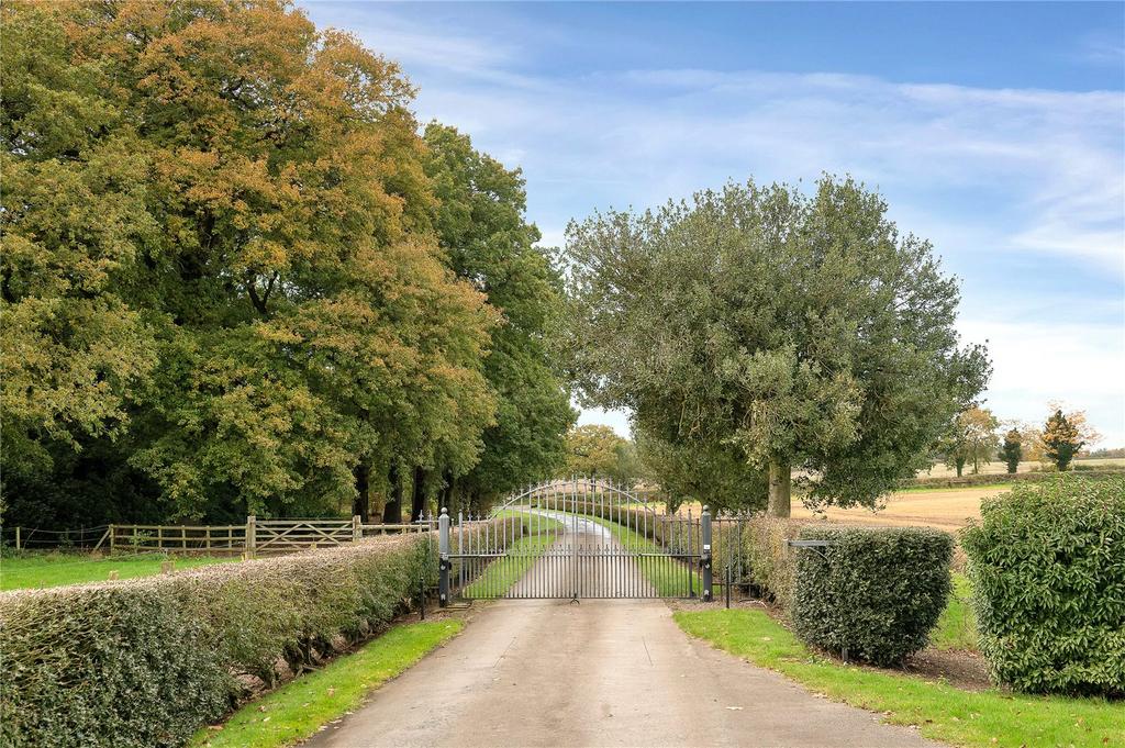 Driveway