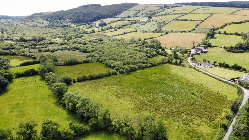 Aerial meadow.JPG