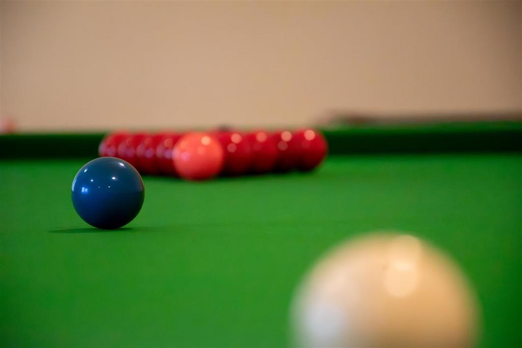 Snooker Table