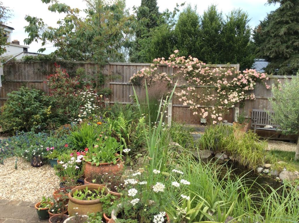 Garden Pond