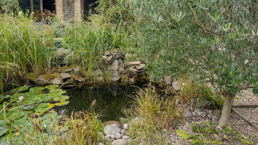 Garden Pond
