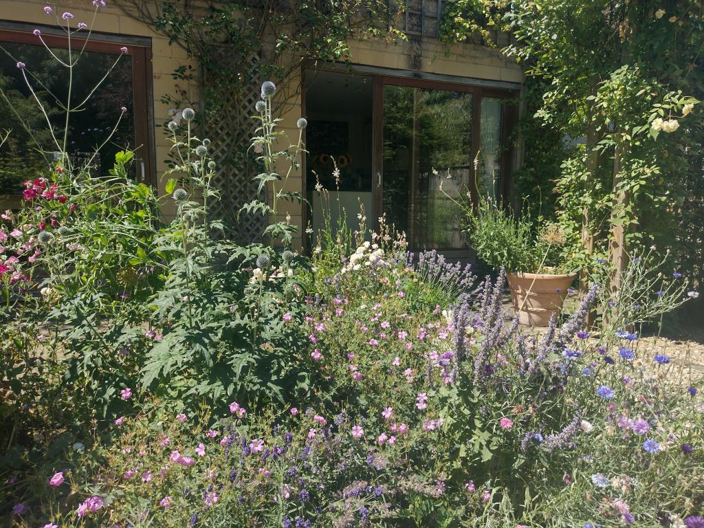 Rear of house