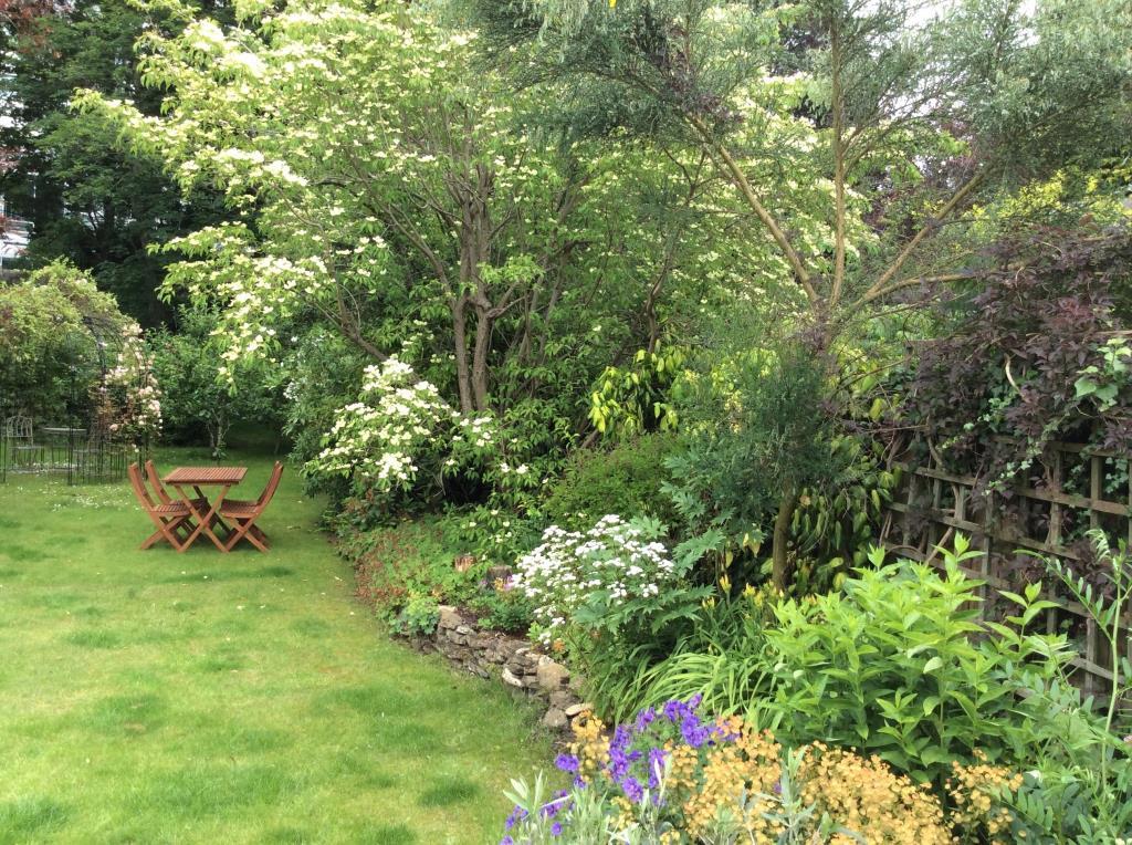 Rear garden lawn