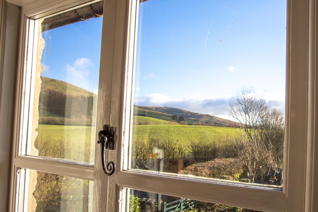 Countryside Views