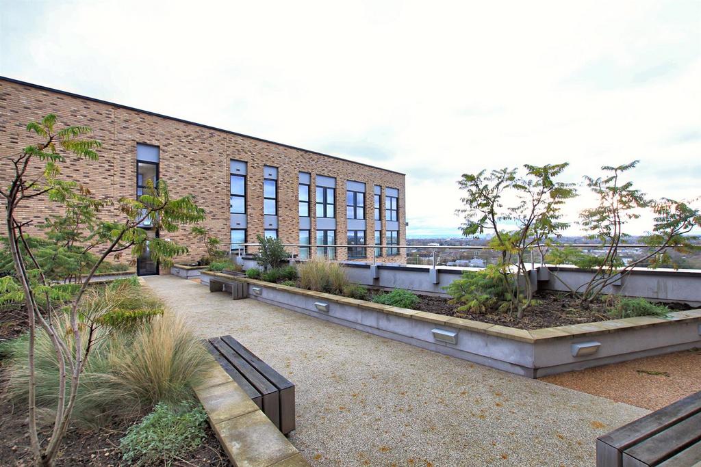 Roof Terrace