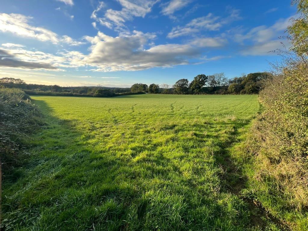 Tunbridge Wells Road, Mayfield, East... Farm land for sale £480,000