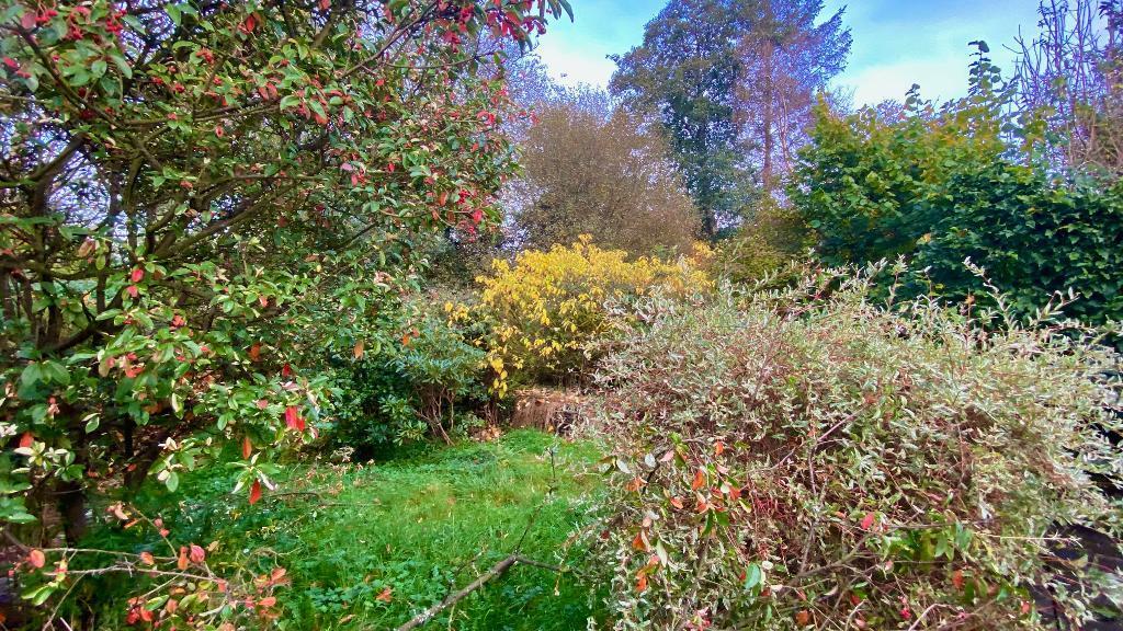 Mature Gardens