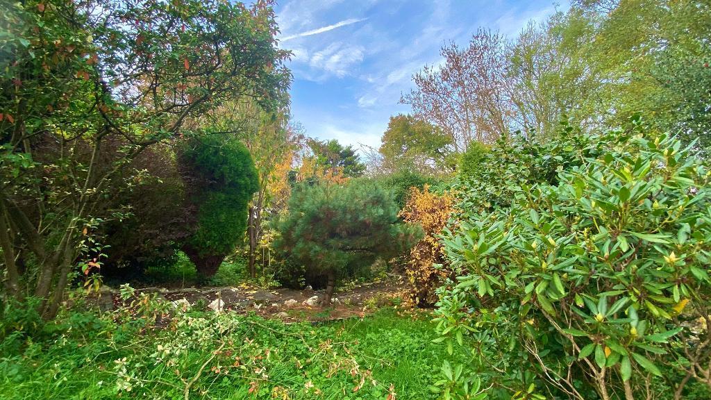 Mature Gardens