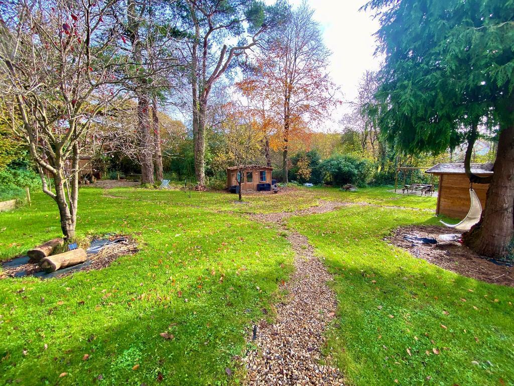 Garden - Another View