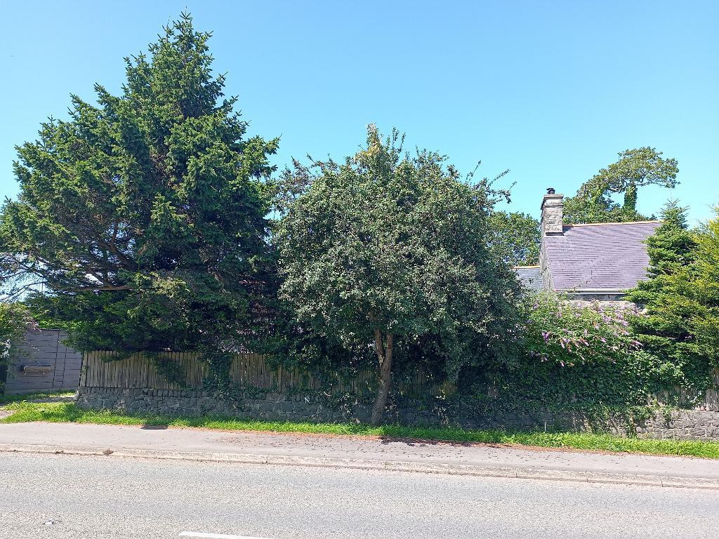 View from Roadway