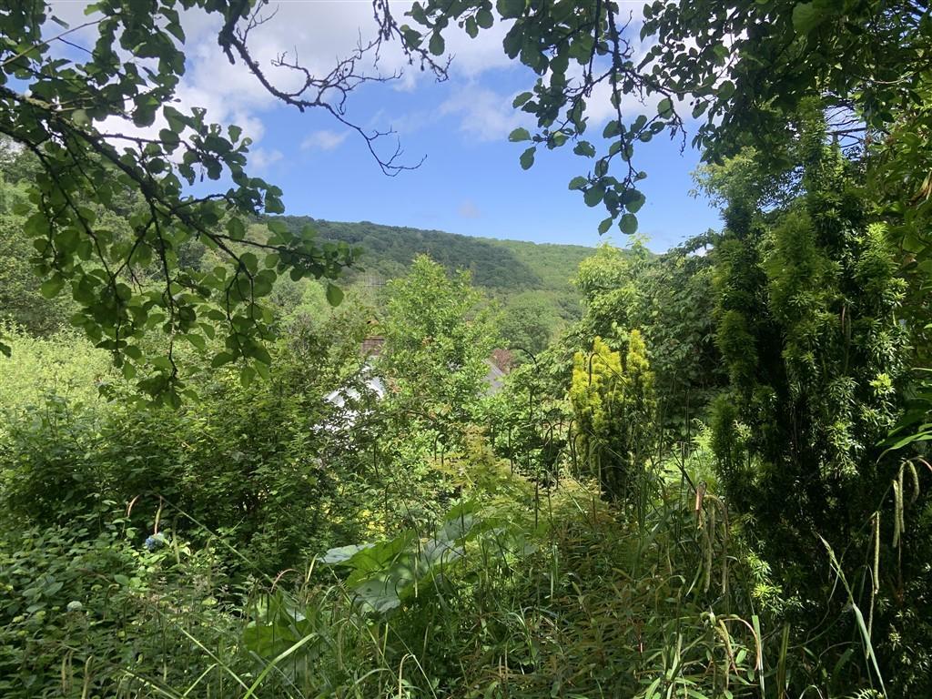 View From Woodland Over House